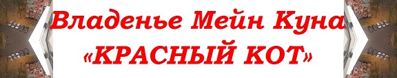 Все права котов защищены ВС